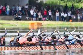 贾鲁河畔 楫桨飞舞庆端午图片