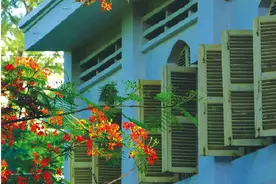 又到毕业季，凤凰花开的路口你要去哪里图片