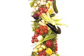 盛夏来临，你的新鲜蔬果存好了吗？图片