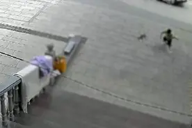 小男孩数次摔打后甩飞小猫