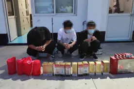 他们刚刚回去就被抓！图片