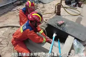 高温天致养殖场用水告急，消防员上门送水为鸡“续命”图片