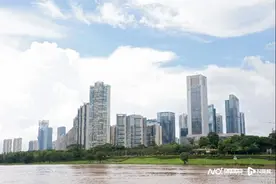 “以鱼养水”！禅城区增殖放流活动助力渔业图片
