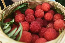 这种水果正当季！这类人食用要注意图片