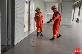 洋浦一学校出现菜花蛇 消防员迅速出动捕获图片
