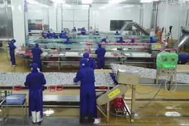 广东吴川：预制菜产业加速发展图片