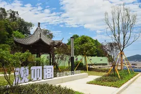 浙江苍南：黄金海岸好风光图片