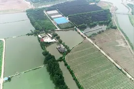 打谷、陶艺、种菜、磨豆浆、包粽子……青浦学子在农事中践行耕读精神图片