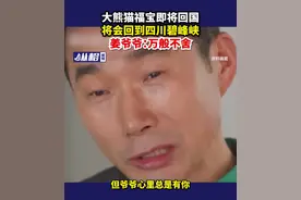 大熊猫福宝即将回国，将会回到四川碧峰峡，姜爷爷：万般不舍图片