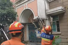 市民求助：“吓死了，一抬头就看见了一条蛇！”杭州消防员直呼活久见……图片