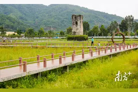 香山古韵文化IP+乡村示范带=？｜中山乡村蹲点③图片