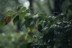 黄梅天哪哪都不舒服，该如何应对？解暑除湿，中医来支招图片