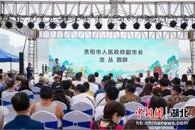 “爽爽贵阳”避暑季文化旅游推介会走进武汉图片