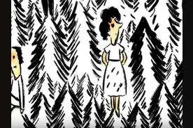 小封絮语丨森林图片