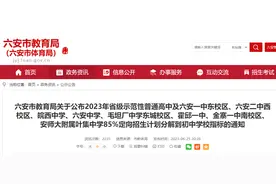 六安公布2023年省示范高中等定向到初中学校招生计划分解表图片