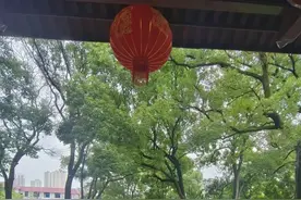 一曲古琴酬知音图片