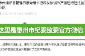 惠州市代建项目管理局原党组书记、局长陈训政被开除党籍和公职图片