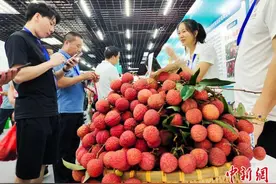 “荔枝之乡”广西北流荔枝文化节引游客“打卡”图片