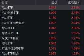 电力ETF成唯一“亮眼的崽”，基金经理详解如何把握电力板块细分机会图片