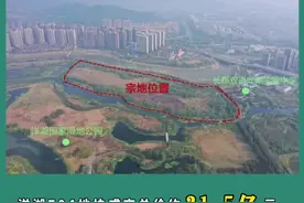 视频 | 成交楼面价13635元/㎡！湖南保利21.5亿竞得长沙洋湖地块图片