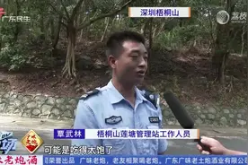 深圳：游客登山发现大蟒蛇 正缠绕在树上休息视频封面