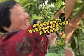 果然视频|樱桃罐头酸甜可口！烟台壹粉vlog分享童年美味图片
