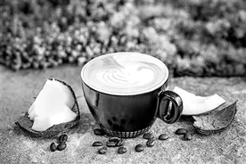 生椰拿铁的“生椰”是什么？图片