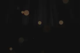 又到旺季！解锁小龙虾的正确吃法图片