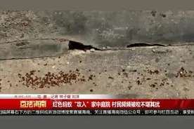 严重可致死！看到千万警惕，海南屯昌多名村民被咬伤图片