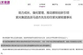 芯片巨头换帅！图片