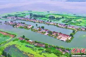 （高质量发展调研行）江苏金湖白马湖村：昔日破旧小渔村变身美丽乡村图片