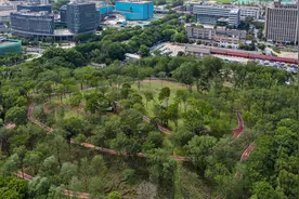 南京徐庄高新区狮子山公园改造工程基本完工图片