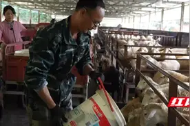 乡村追梦人丨唐艺瑕：现代“羊倌”的乡村追梦之旅图片