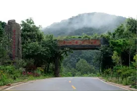 萌萌的“干脆面君”带你游山玩水，一起打卡云南普洱小熊猫庄园图片