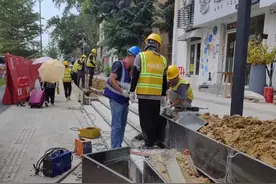 宝安一道路种花池被指过度设计造价高 交通部门：投资可控图片