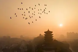 被外地游客点赞的黄鹤楼网红机位，你拍过吗？图片