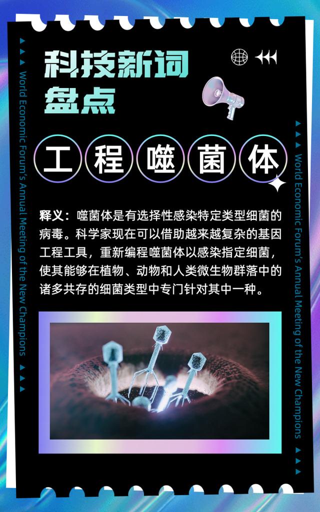 ����Ƥ�������Ե�ء��ڿͻ����ˡ�����Щ���ڿƼ����´ʣ�������������