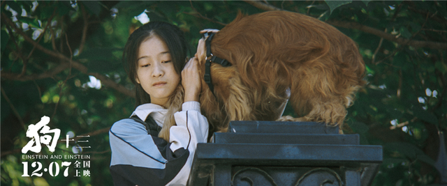 宠物美容沙龙攻略（爱它）