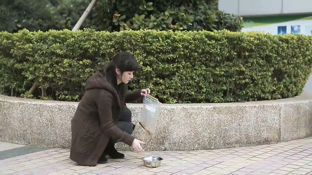 爱它，请别放弃它，别扑杀它