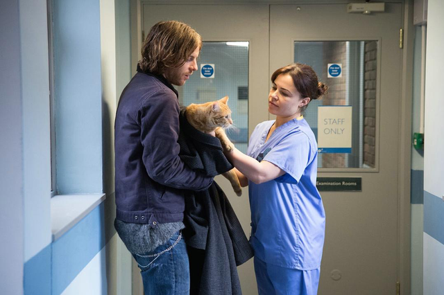 爱它，请别放弃它，别扑杀它