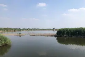 泰安市东平县东平湖管理委员会：守护一湖碧水 创建平安东平湖示范区图片