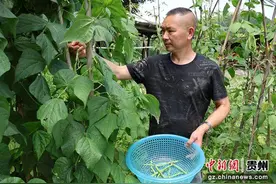 贵州黄家寨：从“空壳村”到“桃花源” 侗寨乡愁富了山民“口袋”图片