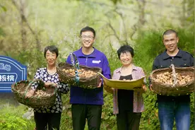 不止于美味，六个核桃里还藏着“硬核”科技图片