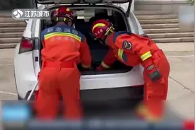 车内有异味，消防员拆除车饰后抓出6只黄鼠狼图片
