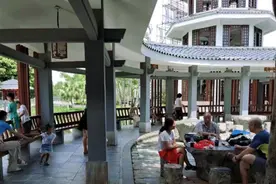 夏日至，黄埔各公园“微度假”人气高图片