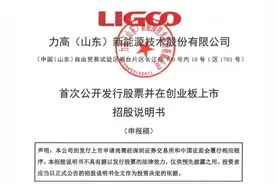 力高（山东）新能源技术股份有限公司拟IPO，多种风险值得关注图片