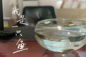 看公益诉讼检察官的初心！佛山高明区检察院发布微视频《我是一只鱼》图片