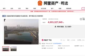 最新进展！合肥宝能城超50亿元资产流拍图片