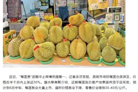 20多元一公斤！价格腰斩，昆明正大量上市图片