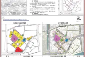 遵循重大行政决策五大程序，深圳福田助推重大公共建设项目落地实施图片